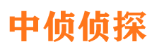 龙陵调查公司